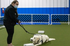 2022-March-Scent-Trial-1012