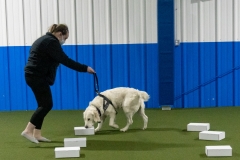 2022-March-Scent-Trial-1014