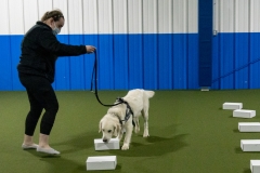 2022-March-Scent-Trial-1015