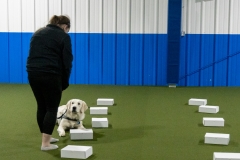 2022-March-Scent-Trial-1018