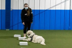 2022-March-Scent-Trial-1019