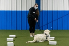 2022-March-Scent-Trial-1021