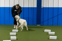 2022-March-Scent-Trial-1023