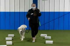 2022-March-Scent-Trial-1024