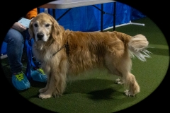 2022-March-Scent-Trial-1026