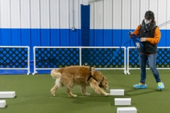 2022-March-Scent-Trial-1027