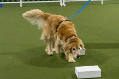 2022-March-Scent-Trial-1028