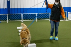 2022-March-Scent-Trial-1029