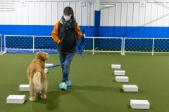 2022-March-Scent-Trial-1030