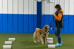 2022-March-Scent-Trial-1033