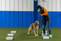 2022-March-Scent-Trial-1034