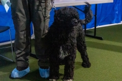 2022-March-Scent-Trial-1052