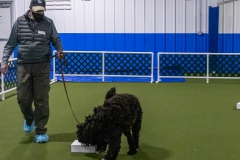 2022-March-Scent-Trial-1060