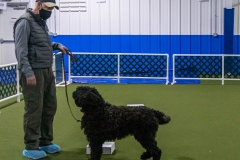 2022-March-Scent-Trial-1061