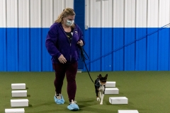 2022-March-Scent-Trial-1073