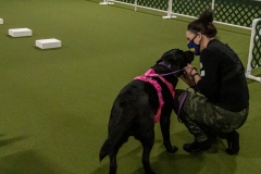 2022-March-Scent-Trial-1077