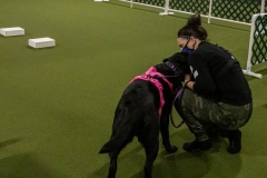 2022-March-Scent-Trial-1078