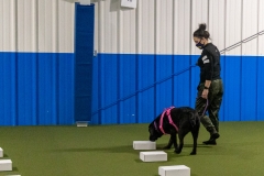 2022-March-Scent-Trial-1079
