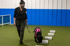 2022-March-Scent-Trial-1080