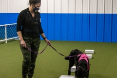 2022-March-Scent-Trial-1081