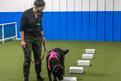 2022-March-Scent-Trial-1084