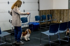 2022-March-Scent-Trial-1086