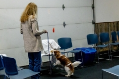 2022-March-Scent-Trial-1087