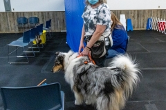 2022-March-Scent-Trial-1100