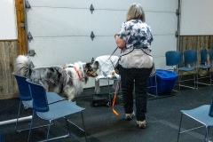 2022-March-Scent-Trial-1101