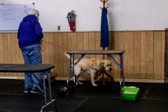 2022-March-Scent-Trial-1110