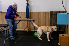 2022-March-Scent-Trial-1112