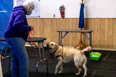 2022-March-Scent-Trial-1113