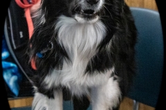 2022-March-Scent-Trial-1116