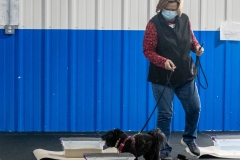 2022-March-Scent-Trial-1118