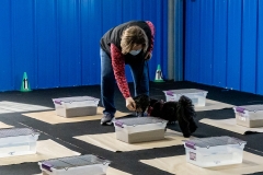 2022-March-Scent-Trial-1125