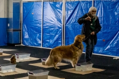 2022-March-Scent-Trial-1139