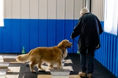 2022-March-Scent-Trial-1140