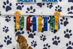 2022-March-Scent-Trial-1154