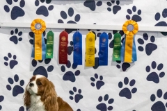 2022-March-Scent-Trial-1156