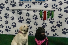 2022-March-Scent-Trial-1167