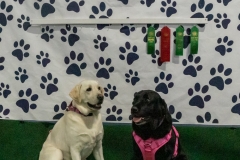 2022-March-Scent-Trial-1168