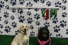 2022-March-Scent-Trial-1169