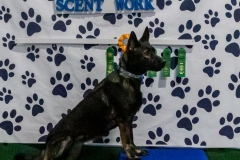 2022-March-Scent-Trial-1180