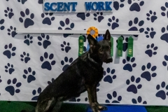 2022-March-Scent-Trial-1181