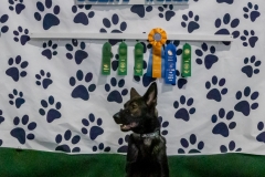 2022-March-Scent-Trial-1184