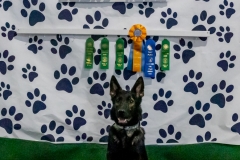 2022-March-Scent-Trial-1185