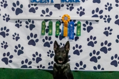 2022-March-Scent-Trial-1188