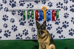 2022-March-Scent-Trial-1194