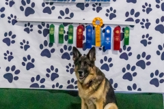 2022-March-Scent-Trial-1197