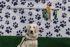 2022-March-Scent-Trial-1207